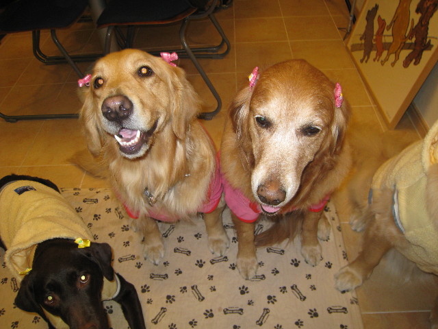 ファイル 643-3.jpg