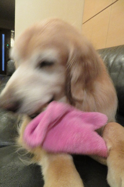 ファイル 6430-4.jpg