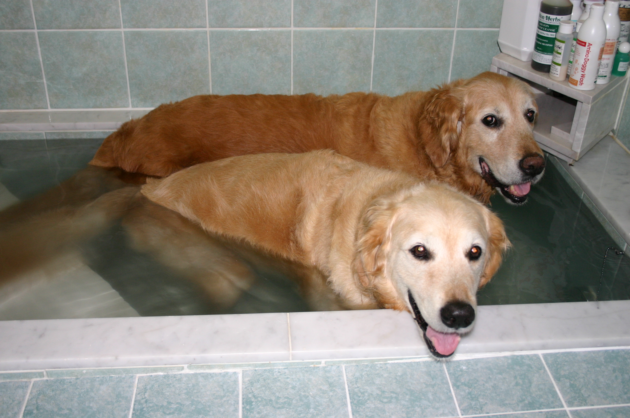 ファイル 6435-2.jpg