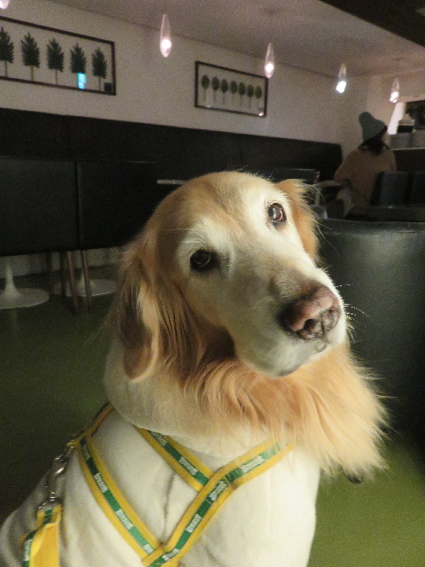 ファイル 6437-1.jpg