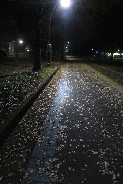 ファイル 6437-3.jpg