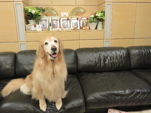 ファイル 6438-4.jpg