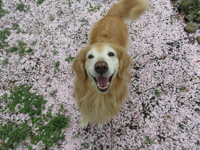 ファイル 6439-2.jpg