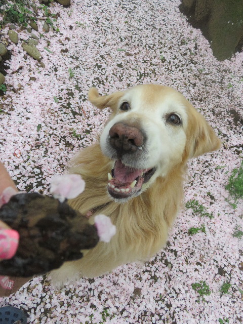 ファイル 6439-3.jpg