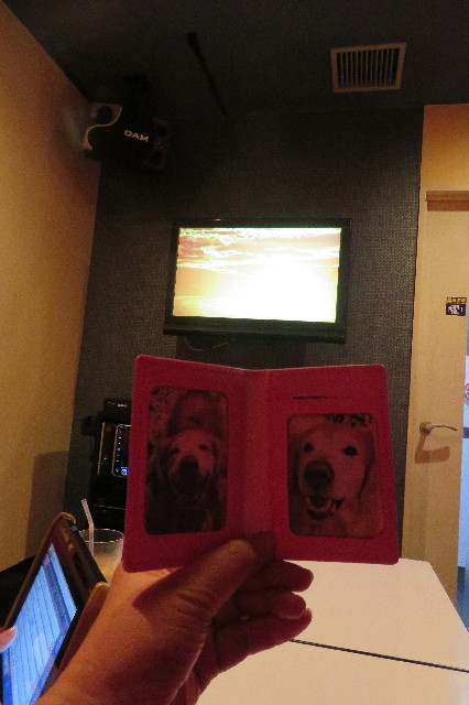 ファイル 6439-4.jpg