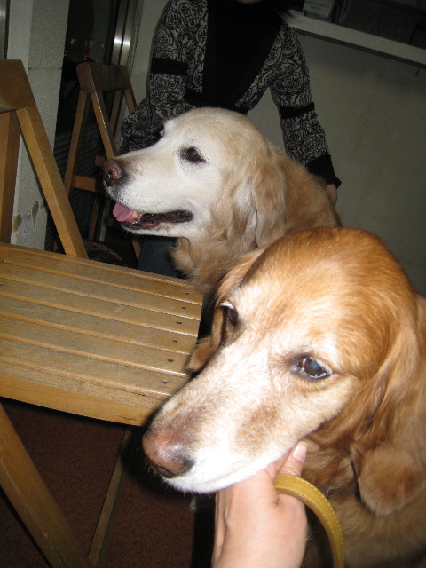 ファイル 644-3.jpg