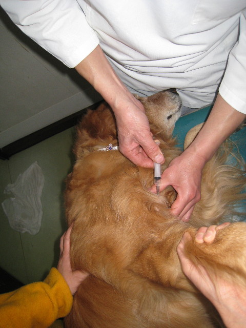 ファイル 644-4.jpg