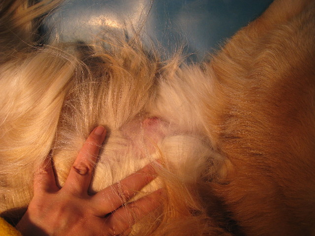 ファイル 644-5.jpg