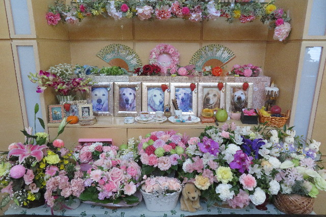 ファイル 6441-5.jpg