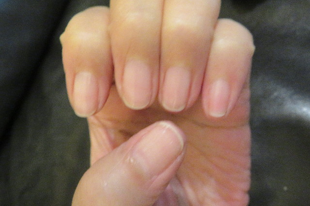 ファイル 6442-1.jpg