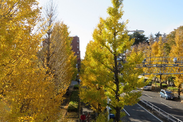 ファイル 6443-3.jpg