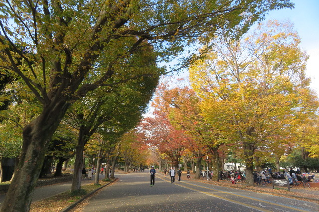 ファイル 6443-5.jpg