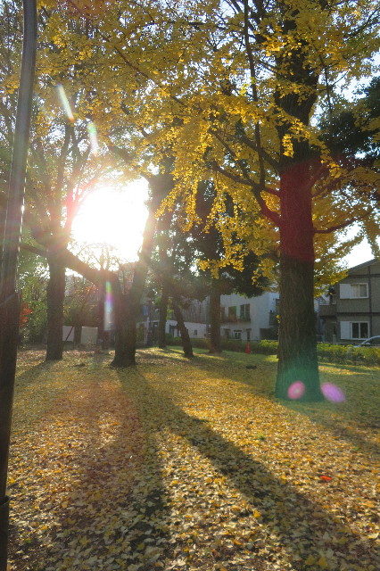 ファイル 6446-2.jpg