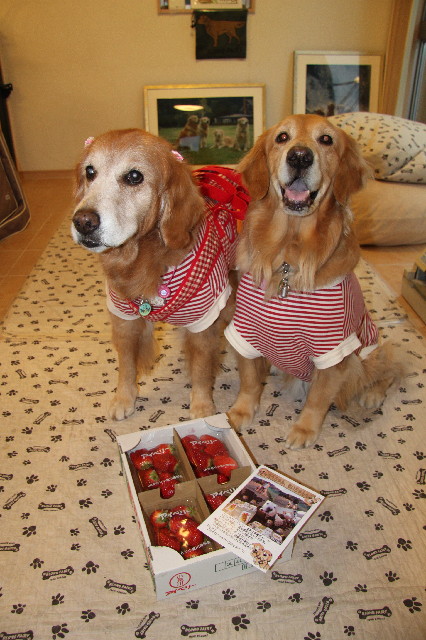 ファイル 6448-1.jpg