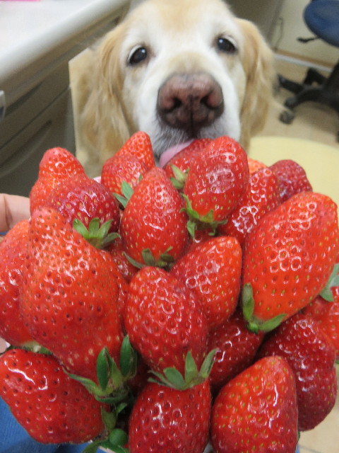 ファイル 6448-5.jpg