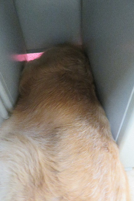 ファイル 6449-2.jpg