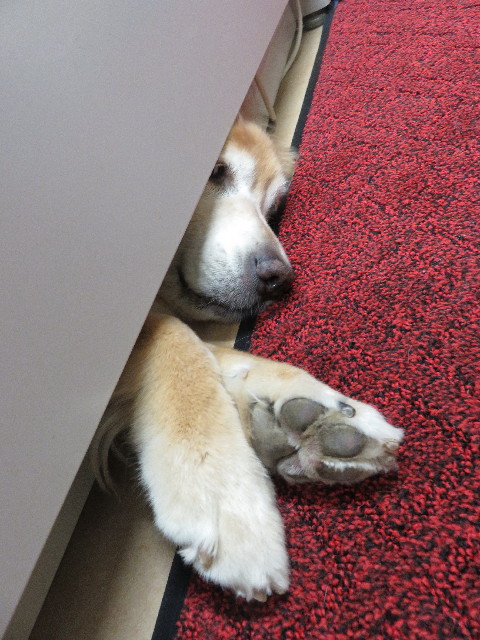 ファイル 6449-3.jpg