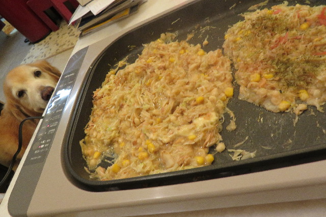 ファイル 6449-5.jpg