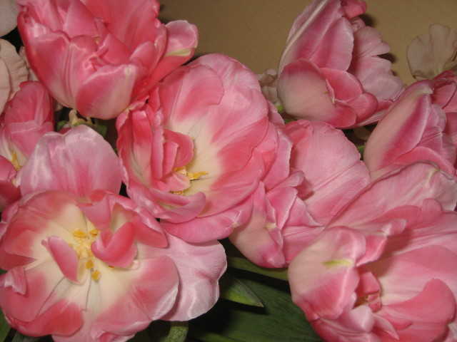 ファイル 645-1.jpg