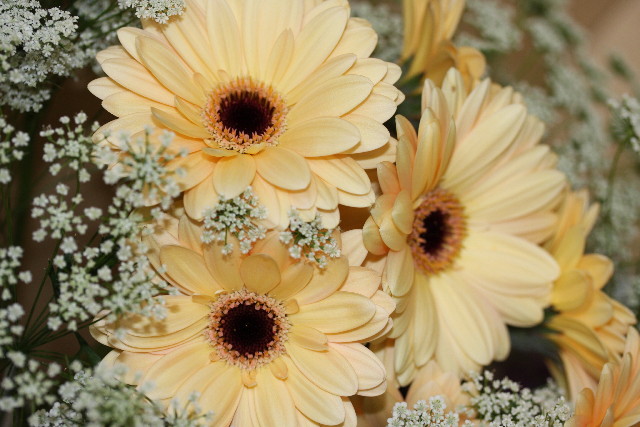 ファイル 645-2.jpg