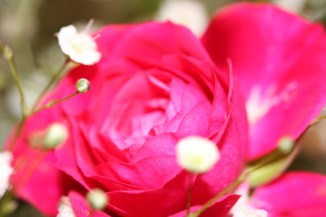 ファイル 645-3.jpg