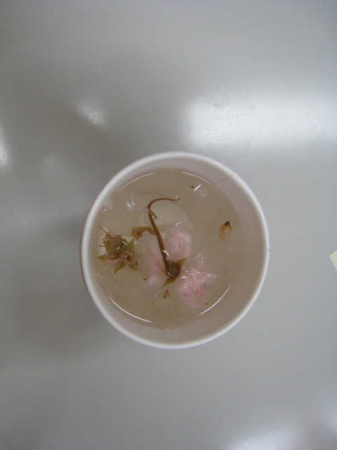 ファイル 645-5.jpg