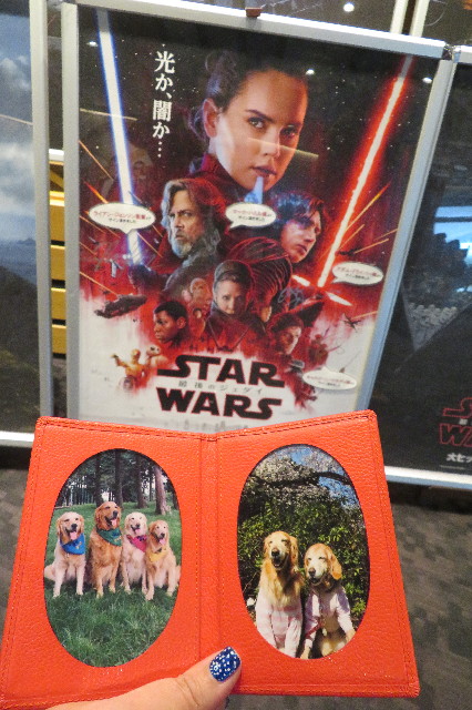 ファイル 6451-1.jpg