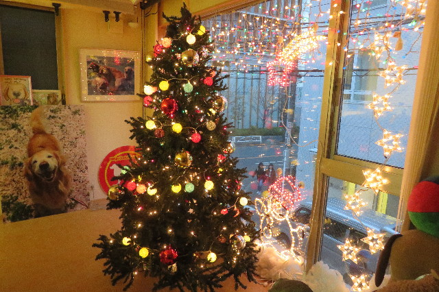 ファイル 6452-3.jpg