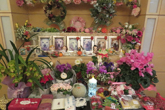 ファイル 6452-4.jpg