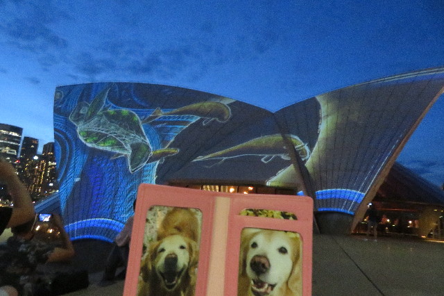 ファイル 6458-2.jpg