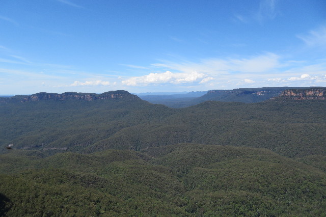 ファイル 6459-2.jpg