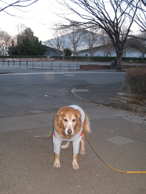 ファイル 646-2.jpg