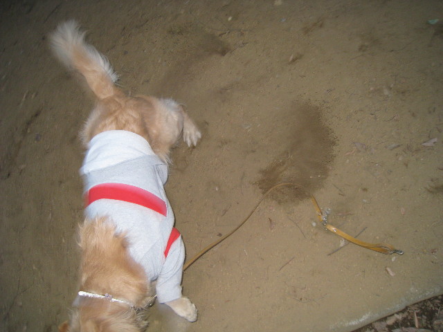 ファイル 646-3.jpg