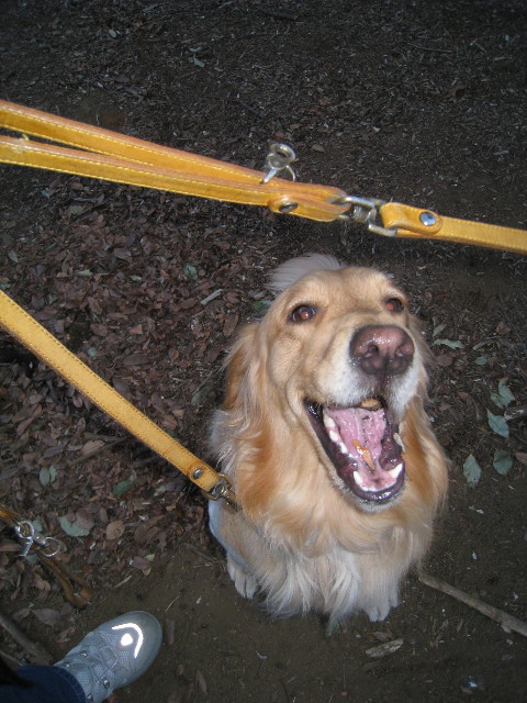 ファイル 646-4.jpg