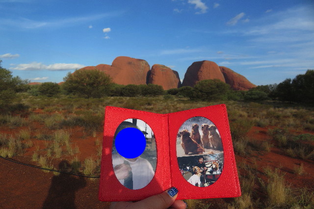 ファイル 6467-1.jpg