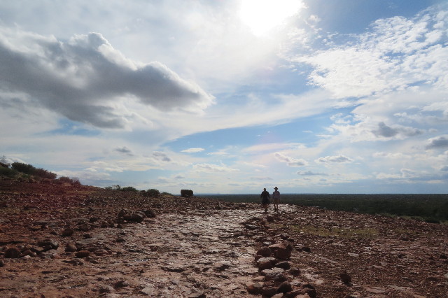 ファイル 6467-4.jpg