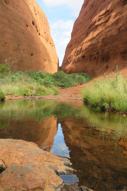 ファイル 6468-1.jpg