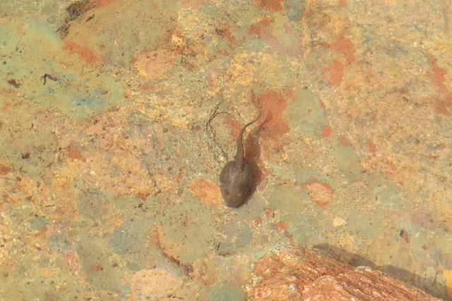 ファイル 6468-2.jpg