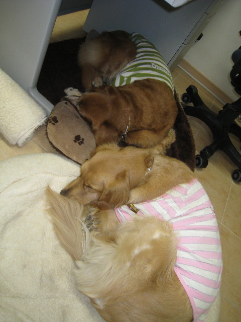 ファイル 647-1.jpg