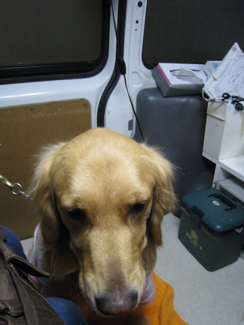 ファイル 647-3.jpg