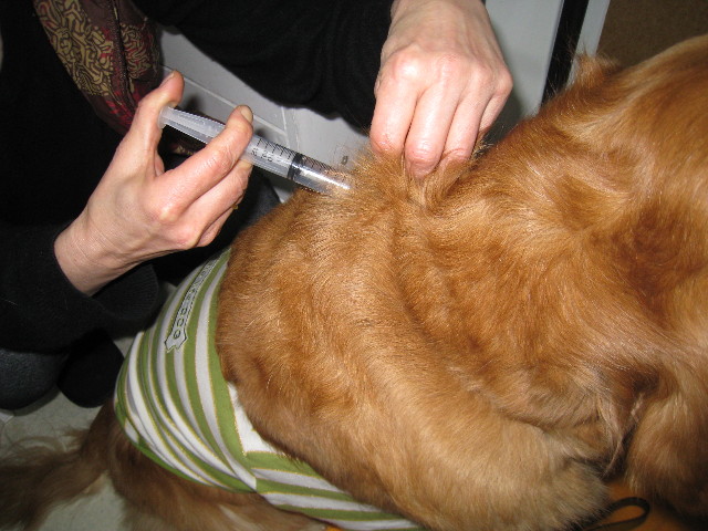 ファイル 647-4.jpg