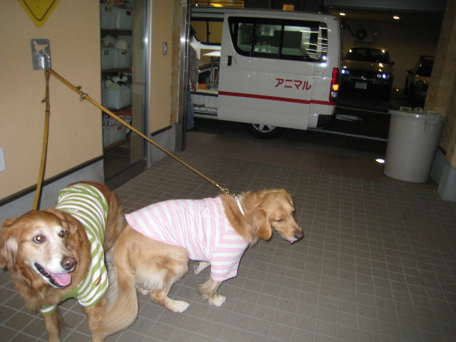 ファイル 647-5.jpg