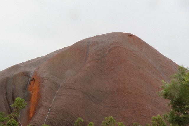 ファイル 6476-1.jpg