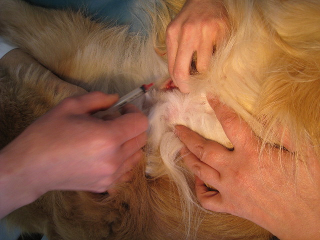 ファイル 648-1.jpg