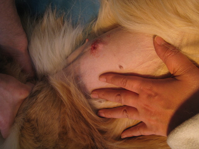 ファイル 648-2.jpg