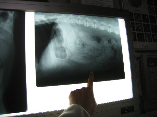 ファイル 648-3.jpg