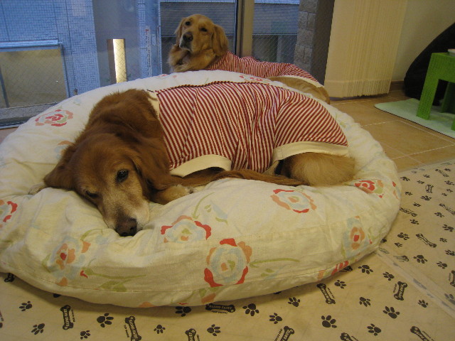 ファイル 648-5.jpg