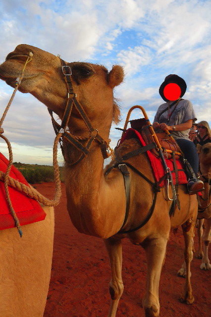 ファイル 6480-3.jpg