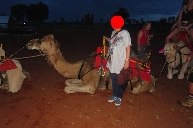 ファイル 6480-5.jpg