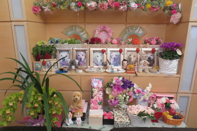 ファイル 6483-3.jpg